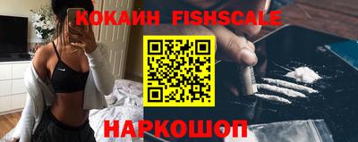 тгк Бийск
