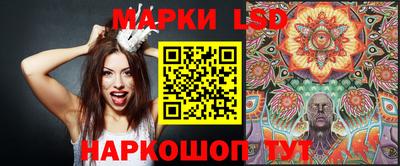 тгк Бийск