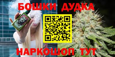 МДПВ Балашиха