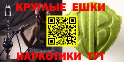 тгк Бийск