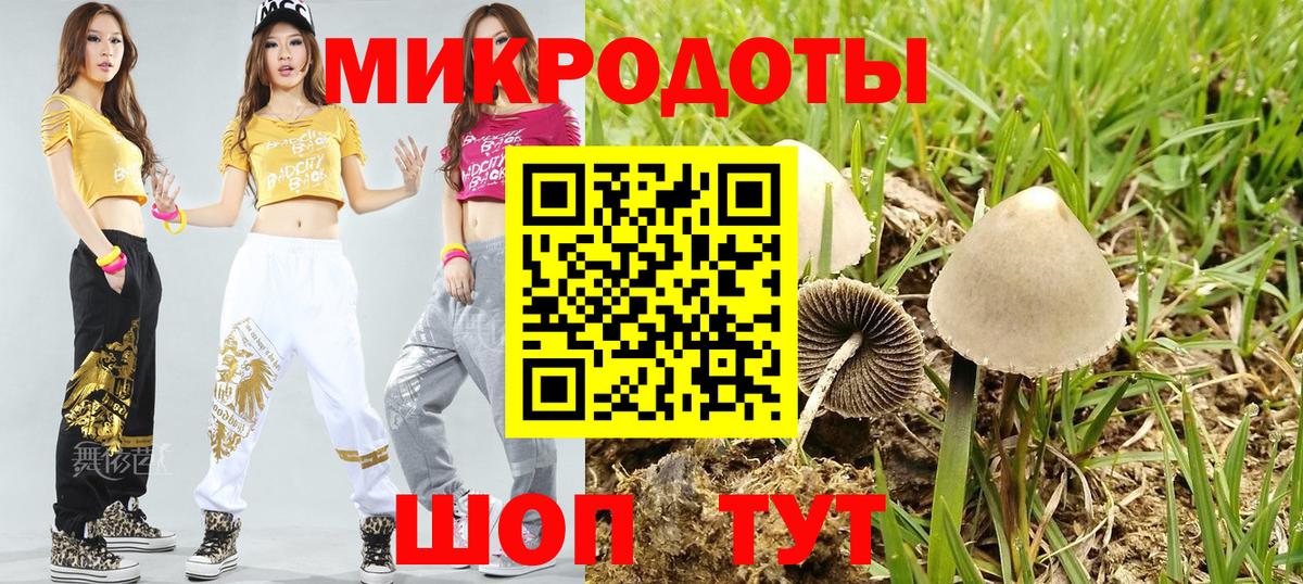 Галлюциногенные грибы Psilocybine cubensis Гуково