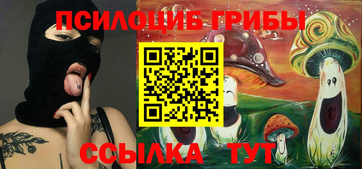А ПВП Гуково