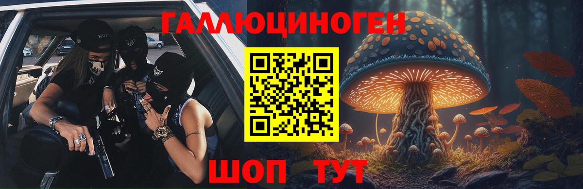 Галлюциногенные грибы Psilocybe  Вход с VPN  Гуково 